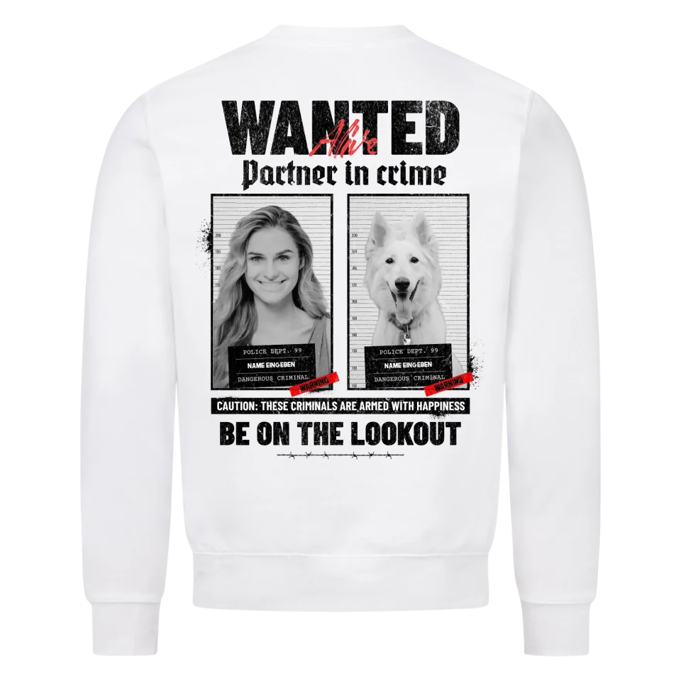 WANTED Partner in crime