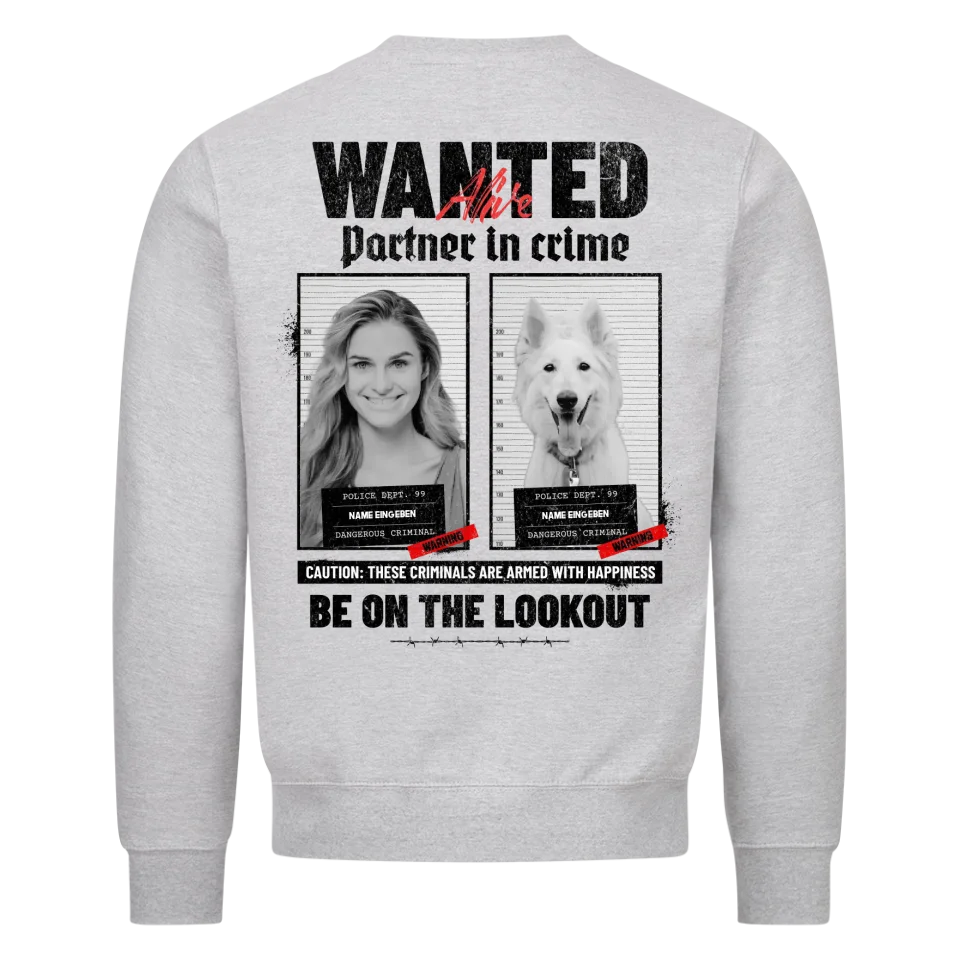 WANTED Partner in crime