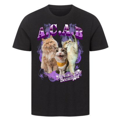 All Cats Are Beautiful