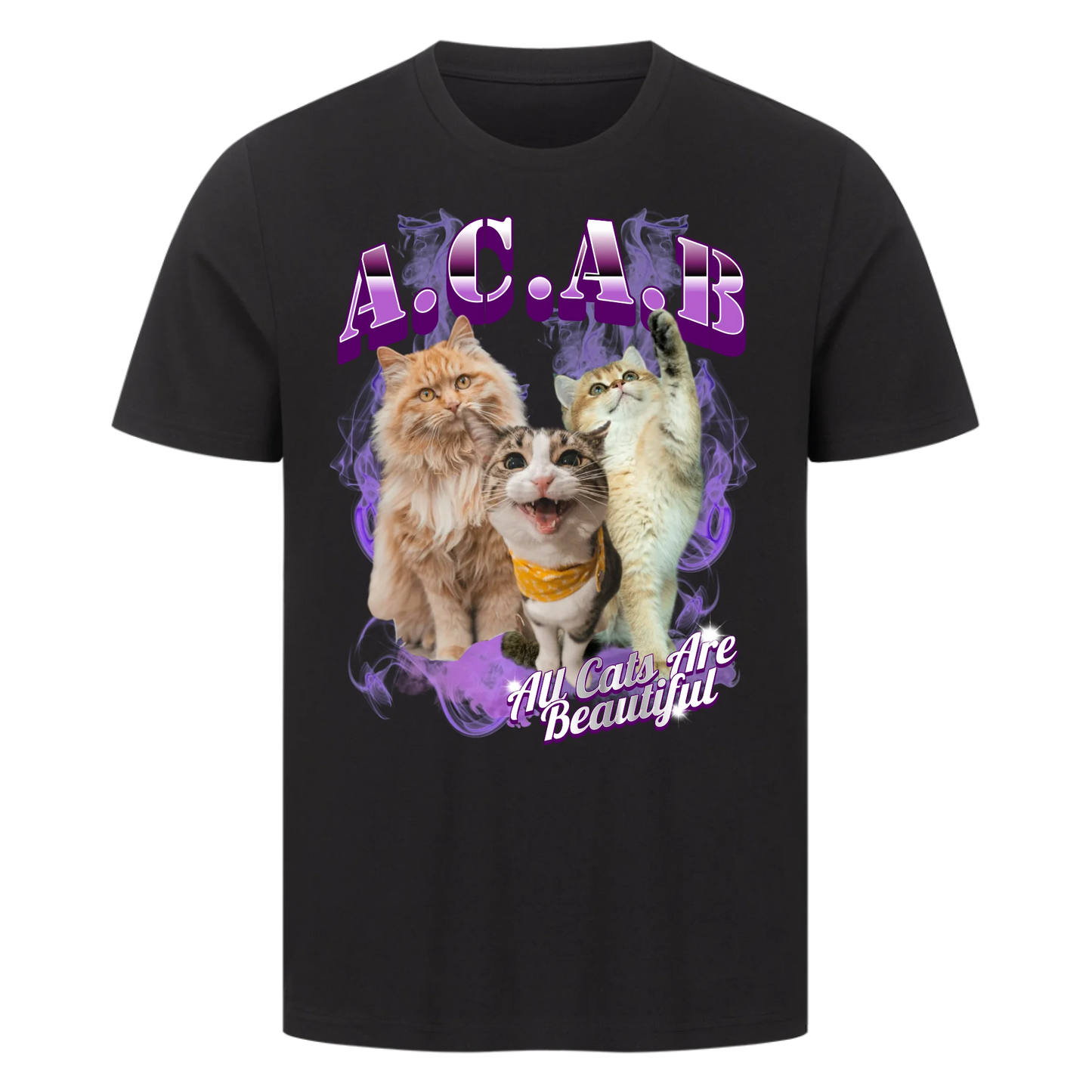 All Cats Are Beautiful